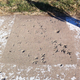 Illustration for article titled Route 66 turkey tracks
